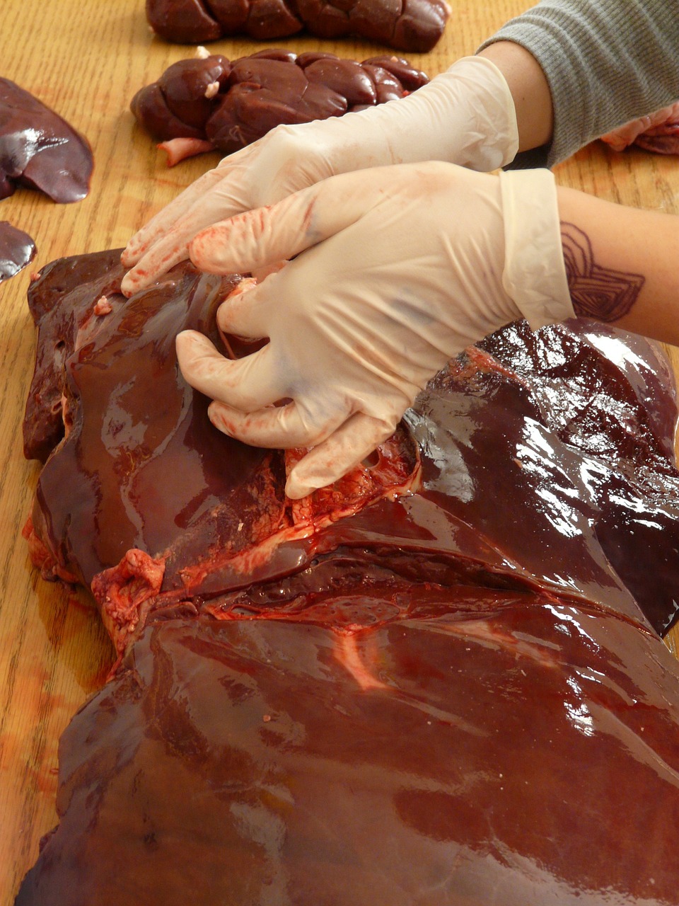 Photo by Hans beef liver, flesh, beef