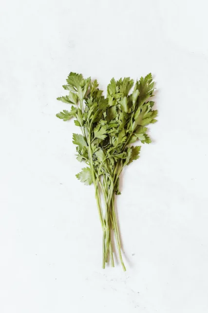 Photo by Polina Tankilevitch 1 Fresh Celery on a White Surface