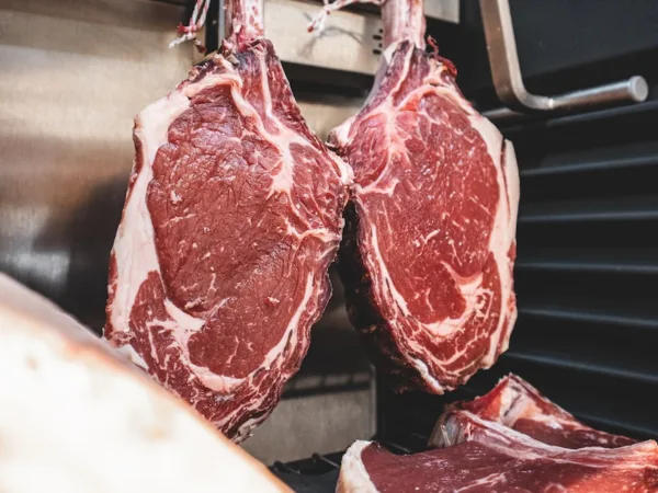 raw meat on stainless steel tray