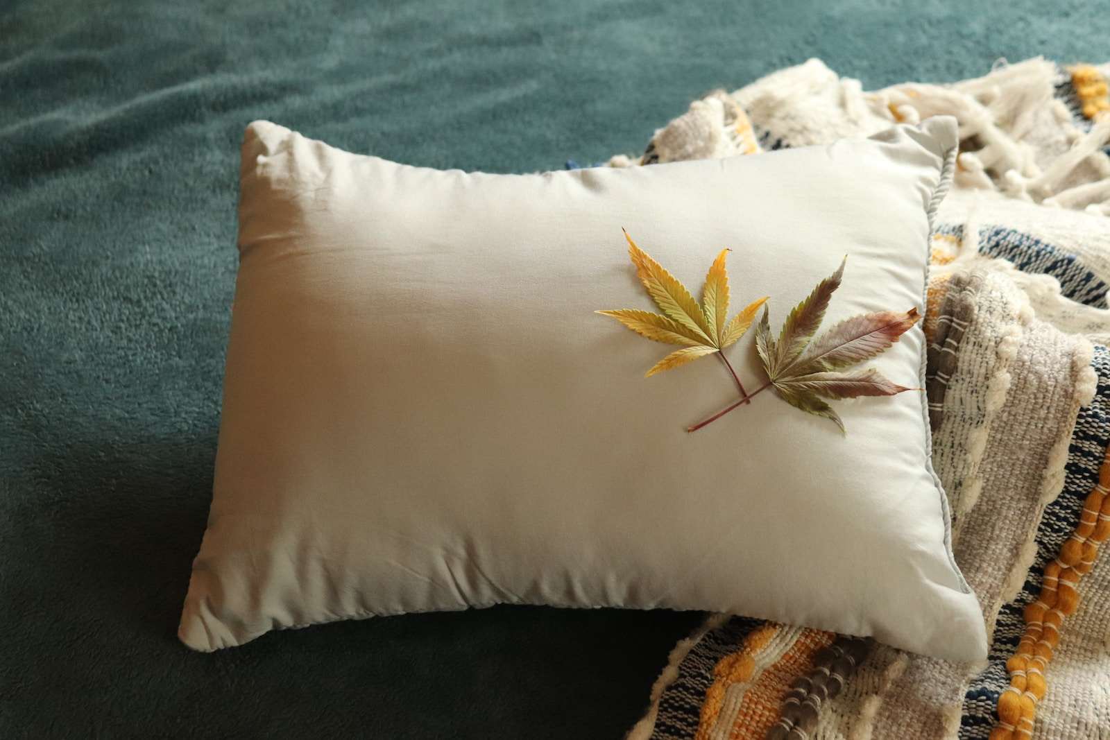Photo by NisonCo PR and SEO a white pillow with a leaf on it