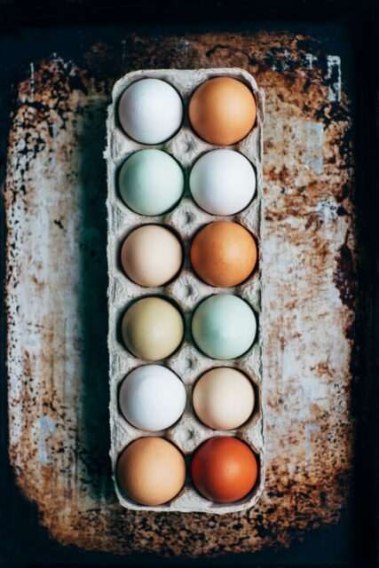 Photo by Kelly Neil 1 dozen eggs on tray