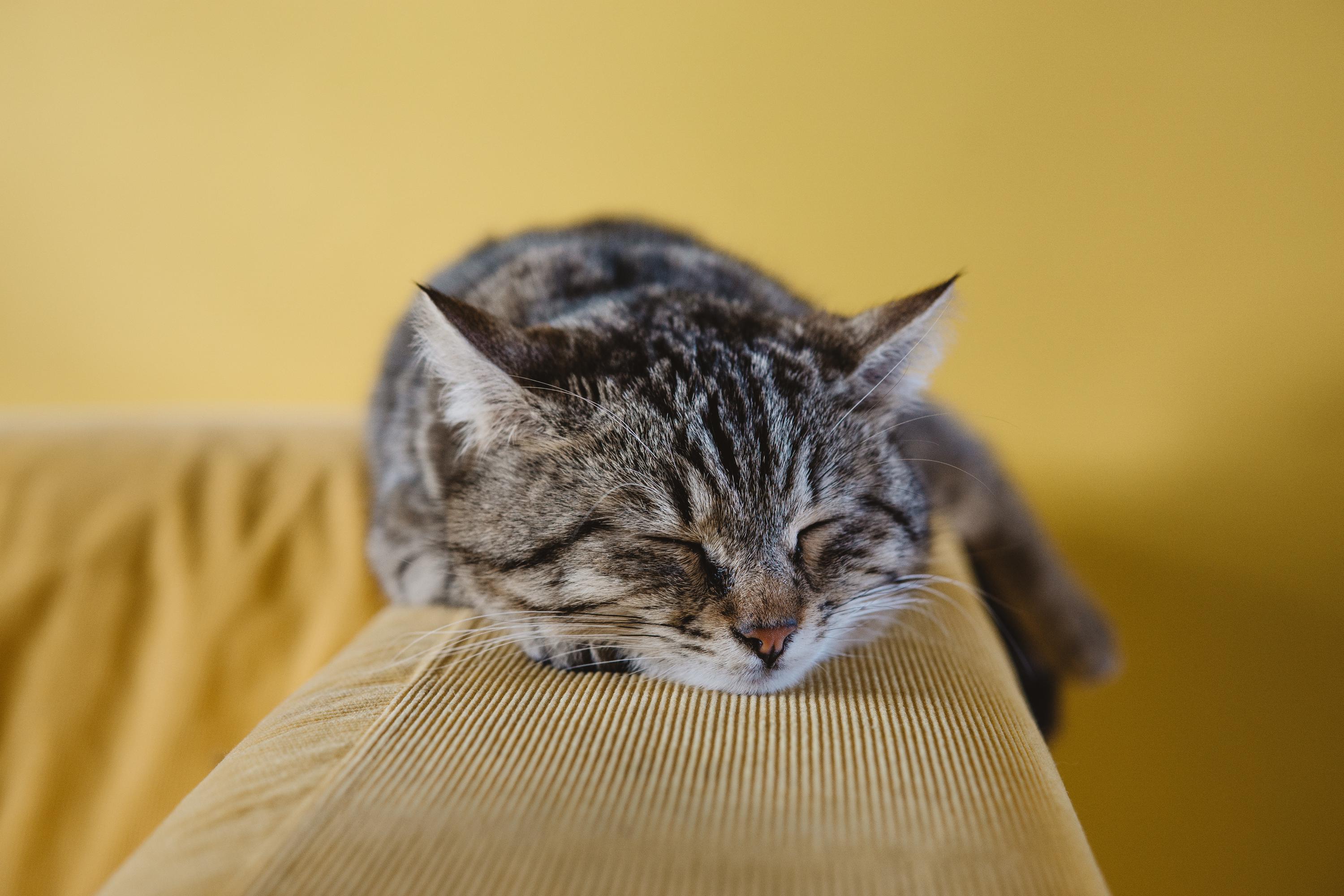 poor sleep