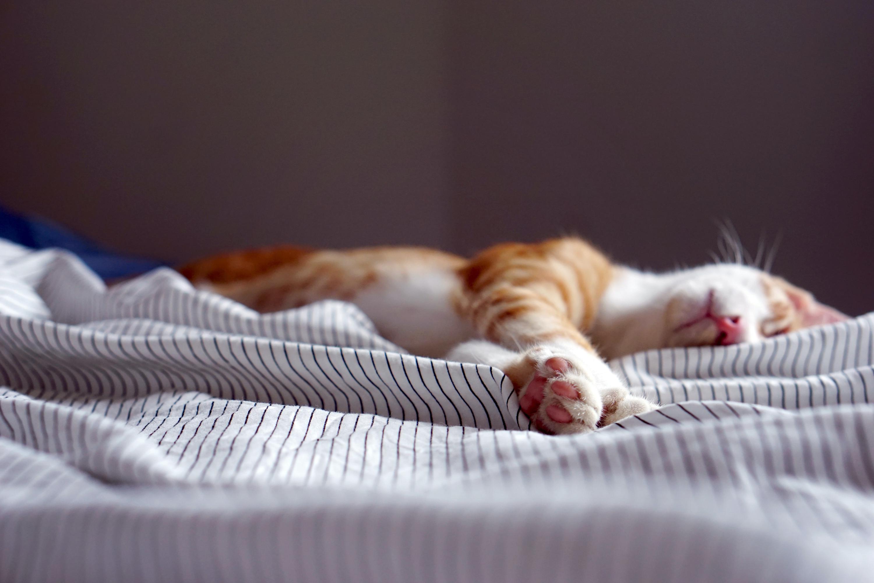 poor sleep