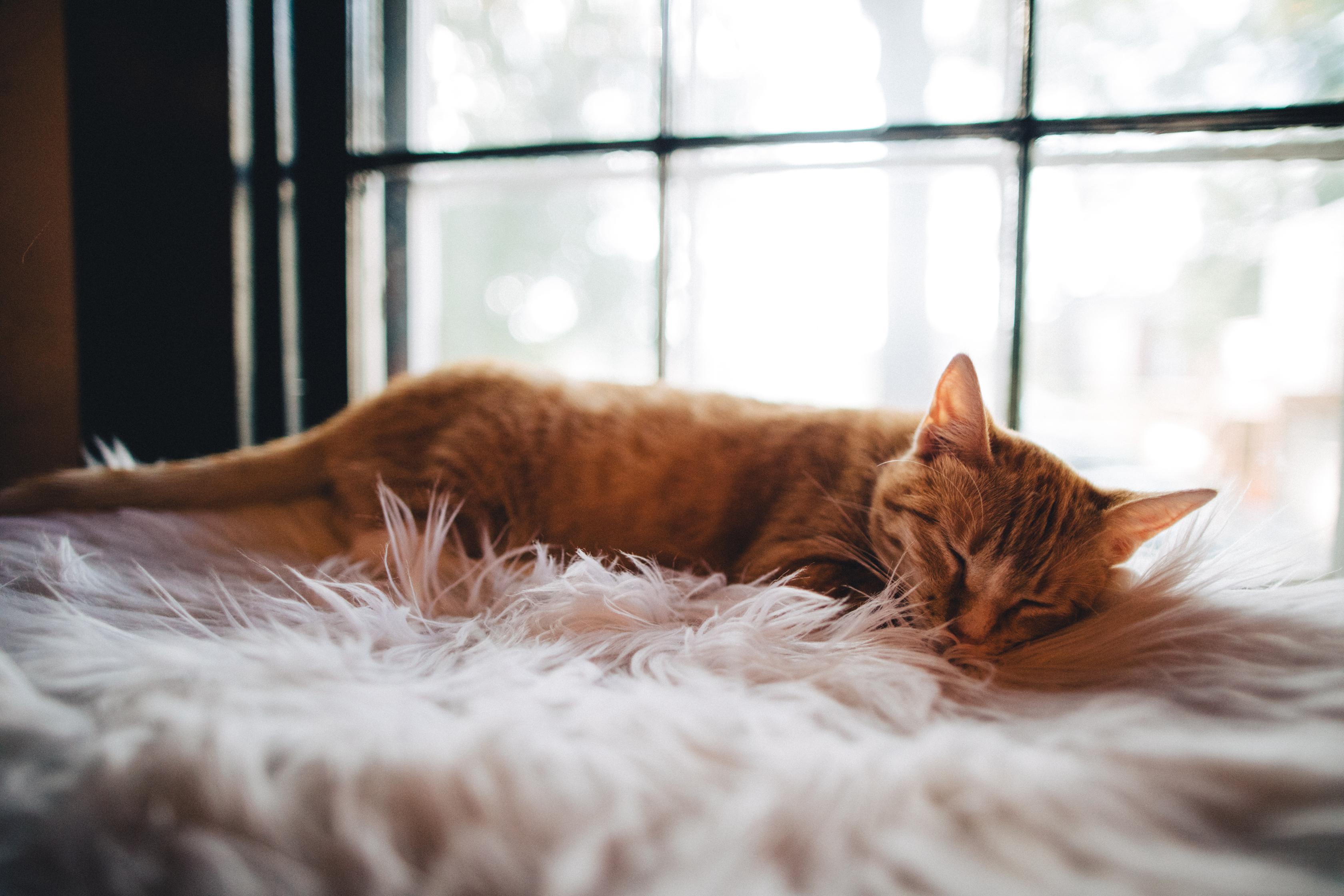 recommended sleep