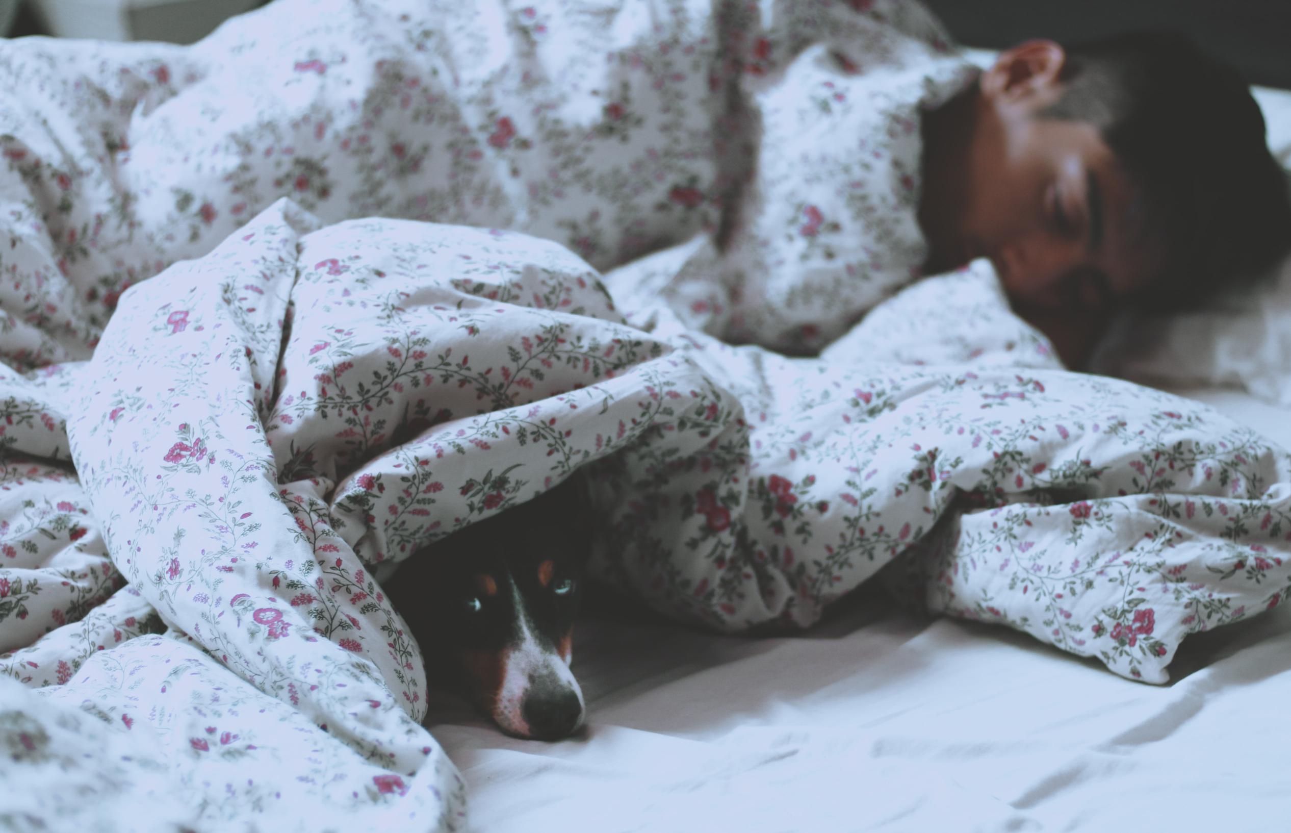vitamins sleep vitamins sleep