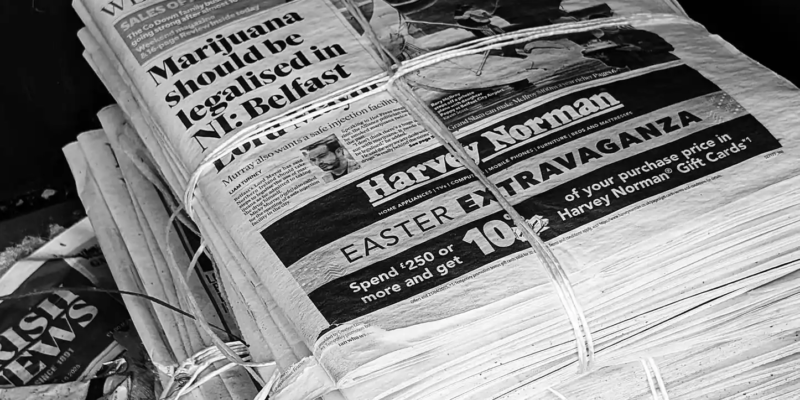 guest post article write mindneloo-optimized