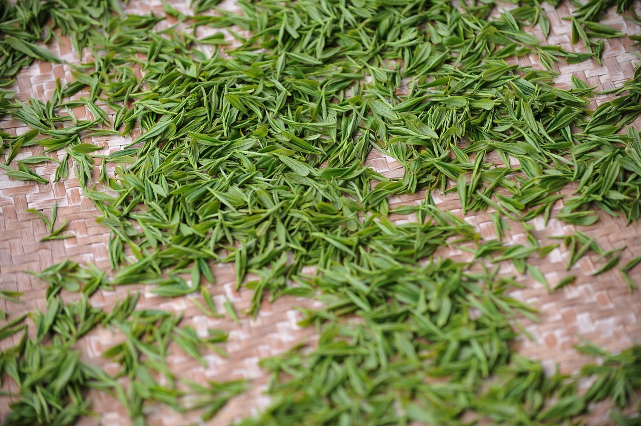 tea garden, tea, green tea