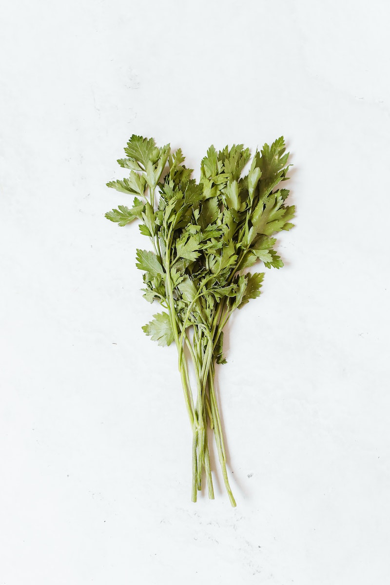 Fresh Celery on a White Surface