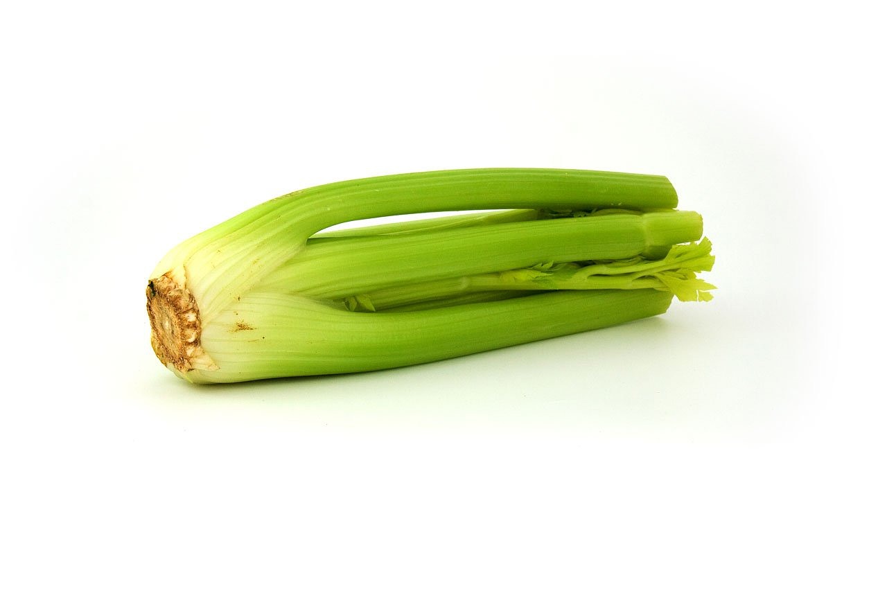 celery, green, greenery
