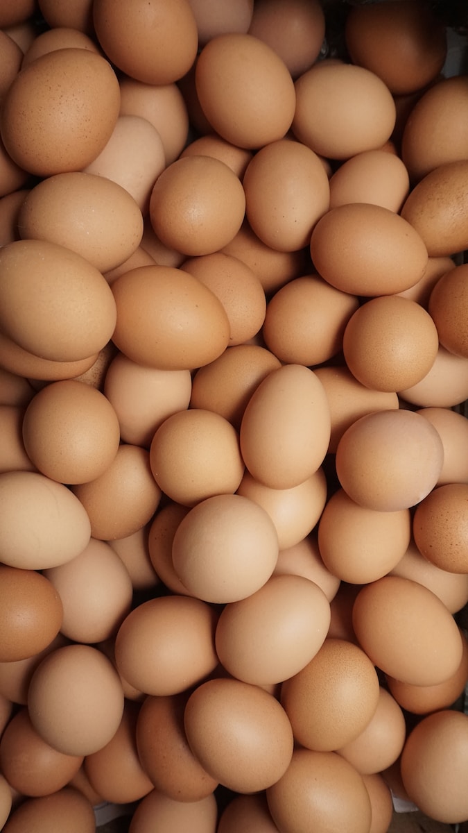 a pile of eggs sitting next to each other